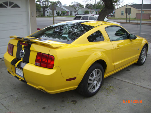 Screeching fron ford #8